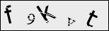 Verify Image